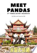 Meet Pandas At Taman Safari Indonesia