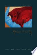 Melancholia's Dog