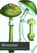 Memorias Y Revista