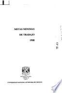 Metas mínimas de trabajo