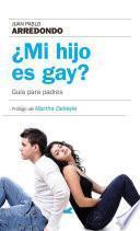 ¿Mi hijo es gay? Guia para padres / Is My Son Gay?