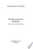 Mi labor en servicio de México