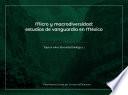 Micro y macrodiversidad: estudios de vanguardia en México