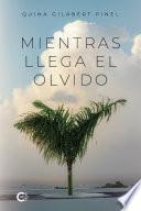 Mientras llega el olvido