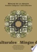 Mingas de la imagen