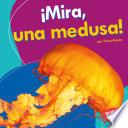 ¡Mira, una medusa!