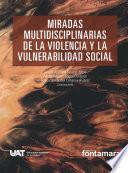 Miradas multidisciplinarias de la violencia y la vulnerabilidad social