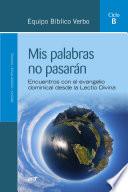 Mis palabras no pasarán (Ciclo B)