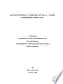 Molecular Genetics of Pathogenicity in the Plant Pathogen Streptomyces Turgidiscabies