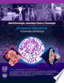Morfofisiología, abordaje clínico y patología del aparato reproductor en animales domésticos