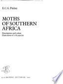Moths of Southern Africa