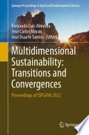 Multidimensional Sustainability: Transitions and Convergences