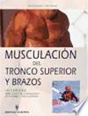 Musculación del tronco superior y brazos