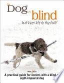 My Dog is Blind - but Lives Life to the Full!