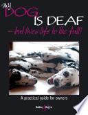 My dog is deaf - but lives life to the full!