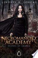 Necromancer Academy: A FREE Paranormal Mystery