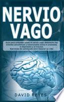 Nervio Vago: Guía para entender cómo el nervio vago determina los estados psicofísicos y emocionales como la ansiedad, la depressio