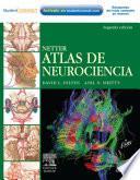 Netter Atlas de Neurociencia