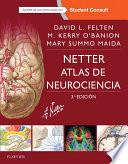 Netter. Atlas de neurociencia + StudentConsult