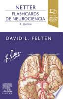 Netter. Flashcards de neurociencia