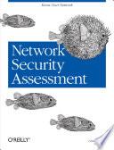 Network Security Assessment