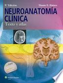 Neuroanatomía clínica