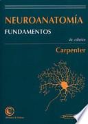 Neuroanatomía