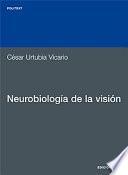 Neurobiología de la visión