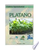 Nicaragua: Cadena Agroindustrial del Platano