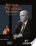 Nicolás del Castillo Mathieu