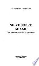 Nieve sobre Miami