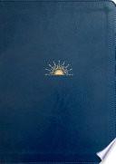 NLT Dayspring Hope & Encouragement Bible (Leatherlike, Navy Blue)
