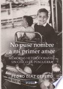 No puse nombre a mi primer amor