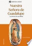 Nuestra Señora de Guadalupe