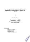 OBRA, POETICA, RETORICA, LEXICOGRAFIA, Y FILOSOFIA MORAL DE ALFONSO DE PALENCIA. EDICIONES CRITICAS DEL DE PERFECTIONE MILITARIS TRIUMPHI Y LA PERFECION DEL TRIUNFO (SPANISH TEXT, PALENCIA ALFONSO DE).