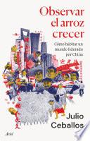 Observar el arroz crecer