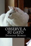 Observe a su gato