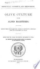 Olive Culture in the Alpes Maritimes