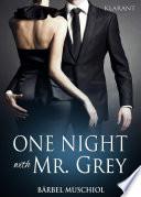 One Night with Mr Grey