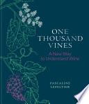 One Thousand Vines