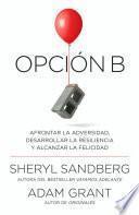 Opcin b / Option B