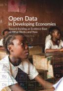 Open Data in Developing Economies