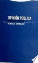 Opinión pública