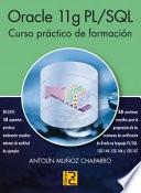 Oracle 11g PL/SQL : curso práctico de formación