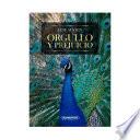 Orgullo y prejuicio