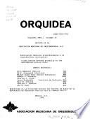 Orquídea