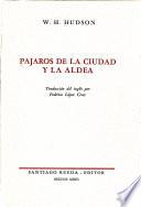 Pájaros de la ciudad y la aldea