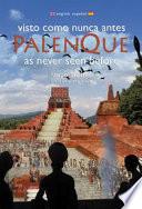 Palenque as Never Seen Before