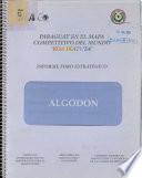 Paraguay en el mapa competitivo del mundo koa ikatuta. Informe foro estratégico: algodón