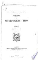 Parergones del Instituto Geológico de México